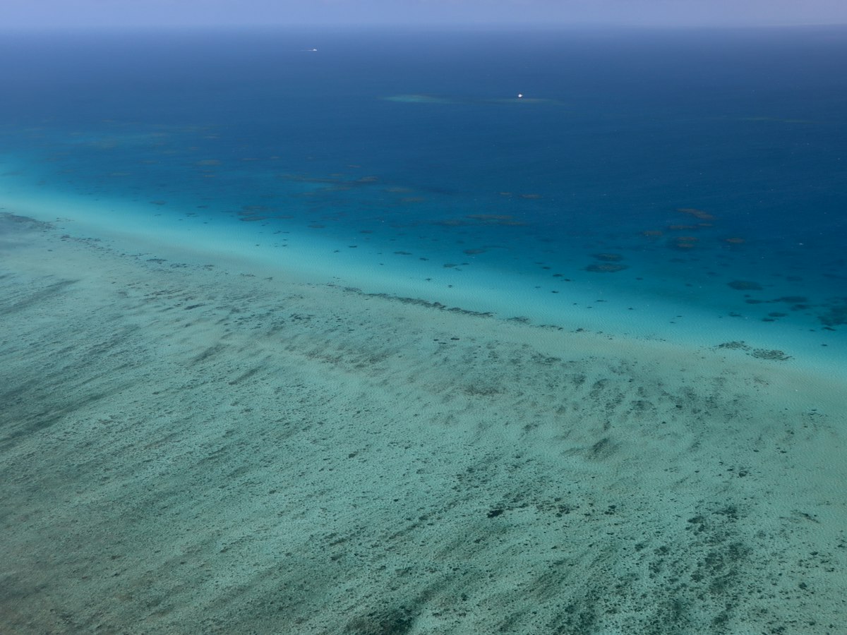 Aerial view of a coral reef with turquoise shallow water