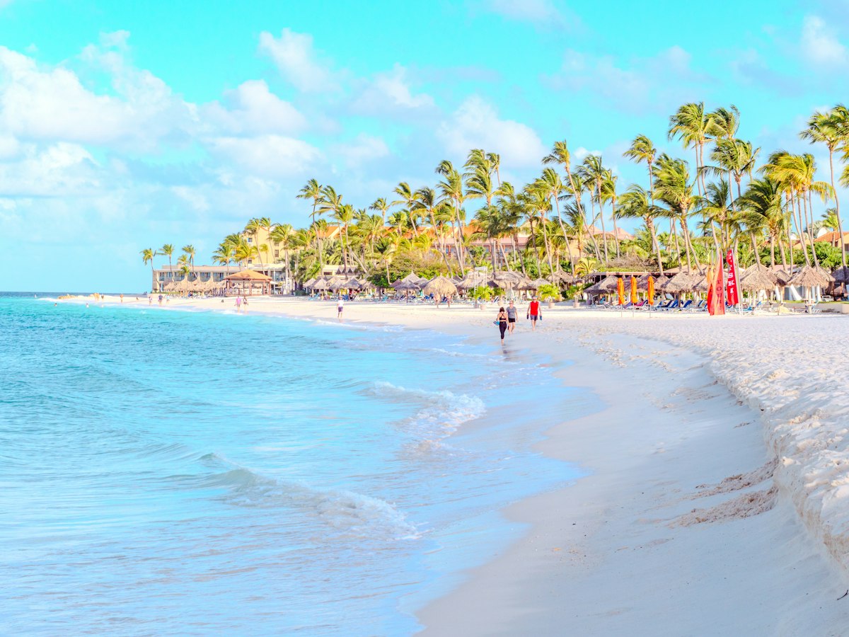 A tropical Caribbean beach with palm trees and turquoise water